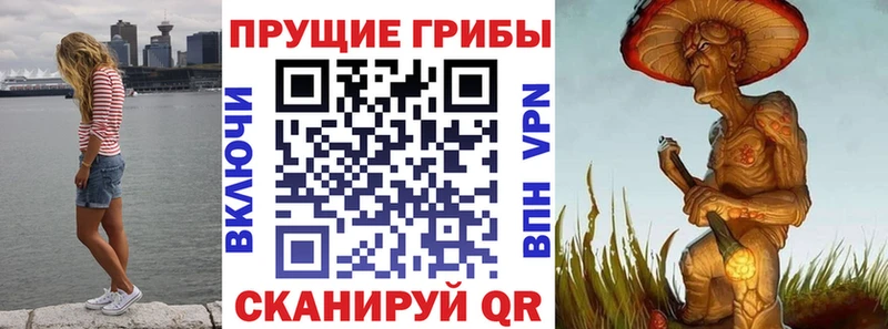 Галлюциногенные грибы прущие грибы  Горбатов 